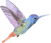 UZMAN DİL VE KONUŞMA TERAPİSTİ <br>ŞEYMA NUR ŞEN 