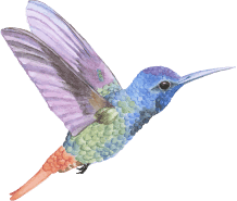 Danışanlarımız Ne Dediler?